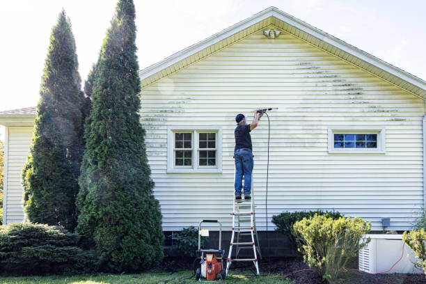 Best Residential Pressure Washing Services  in New Hyde Park, NY