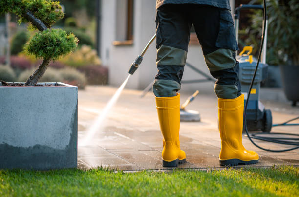 Best House Pressure Washing  in New Hyde Park, NY